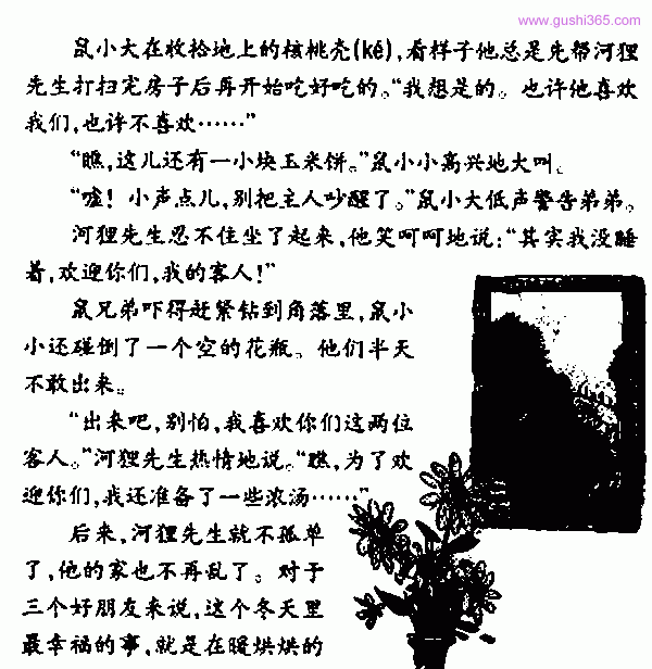 河狸先生的客人