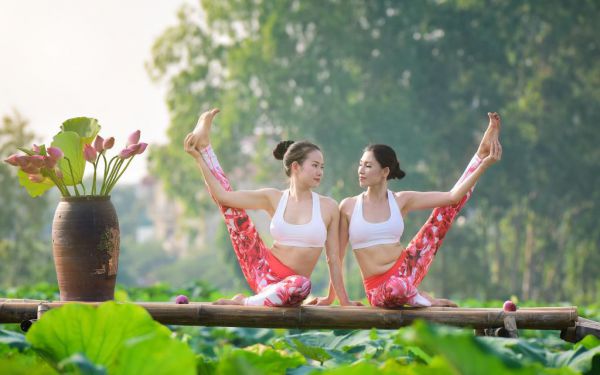 免费正版小说沈宴楚朝完整版阅读-旧梦换心最新章节在线阅读